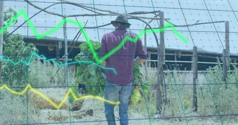 Image of financial data processing over caucasian man working in garden Stock Photos