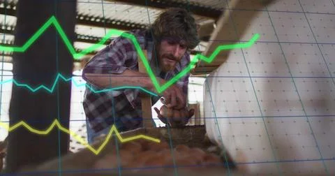 Image of financial data processing over caucasian man collecting eggs 스톡 사진