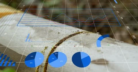 Image of financial data processing over grid Stock Photos