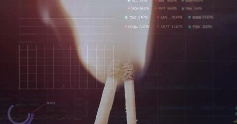 Image of financial data processing over lit matches Stock Photos