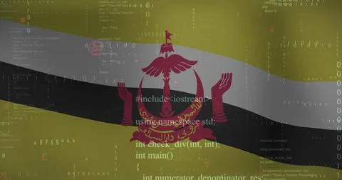 Image of financial data processing over flag of brunei 写真素材