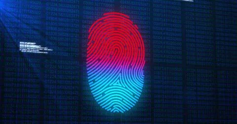 Image of fingerprint and data processing over black background 库存插图