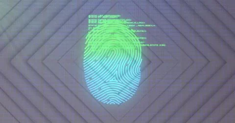 Image of fingerprint and data processing on grey background 스톡 일러스트