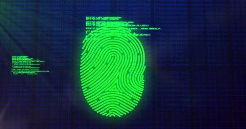 Image of fingerprint scanning with programming language and lens flare over Stock Photos