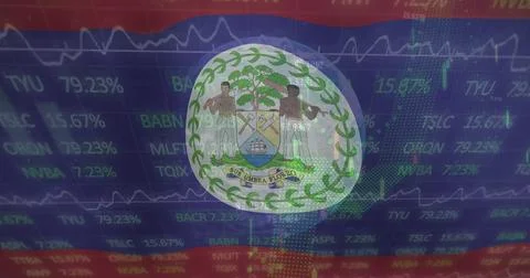Image of flag of belize over graphs and financial data processing 스톡 일러스트
