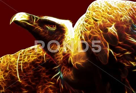 Image of flaming vulture from hell Stock Illustration