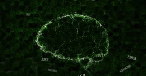 Image of floating changing numbers over 3d model of human brain spinning Stock Illustration