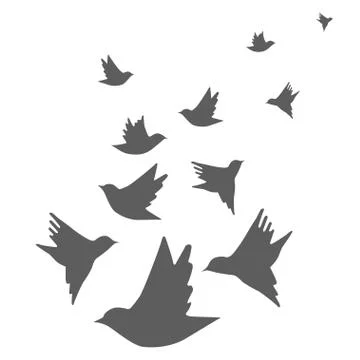 Image flying birds Stock Illustration