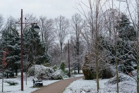 Image of a footpath in a winter park. Stock Photos