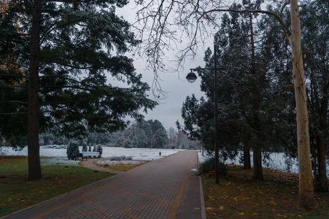 Image of a footpath in a winter park. Stock Photos