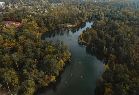 Image of forest and beach of the river Stock Photos