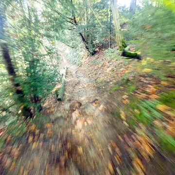 Image on a forest path, where the edges are blurred by movement Stock-Fotos