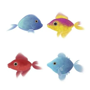 An image of four nice fish illustrations Stock Illustration
