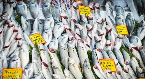 An Image of Fresh Fish display in the local market. Assorted fish in good a.. Stock Photos