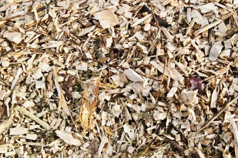 Image full of irregular rough sawdust Stock Photos