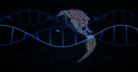 Image of globe and dna strands over black background Stock Illustration