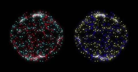 Image of globes of connections and data processing over black background Foto stock