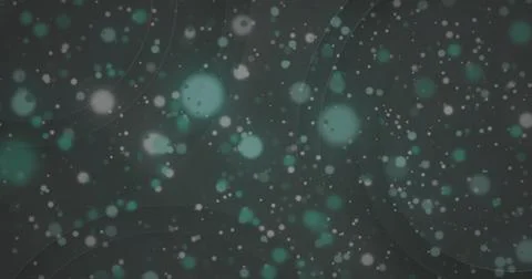 Image of glowing light spots moving on seamless loop on dark background Stock Photos