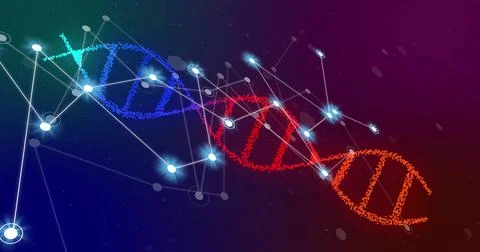 Image of glowing white network of connections over dna strand on dark background イラスト素材