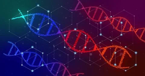 Image of glowing white networks over red and blue dna strands on dark background イラスト素材