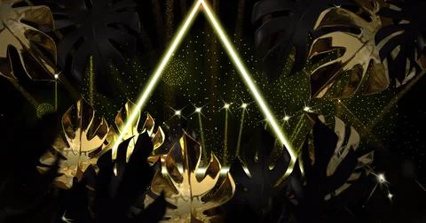 Image of gold leaves and pattern and fireworks on black background Stock Photos