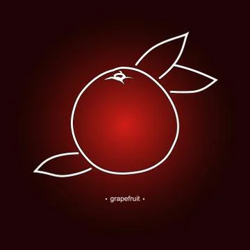 Image Grapefruit in the Contours 스톡 일러스트