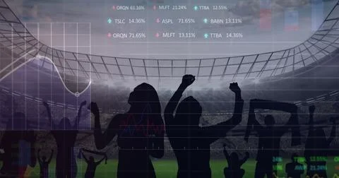 Image of graphs and data processing over cheering sports fans at stadium Stock Illustration