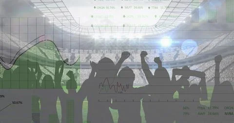 Image of graphs and data processing over cheering sports fans at stadium Stockillustratie