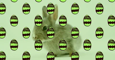 Image of green patterned easter eggs and easter bunny over green background 스톡 일러스트