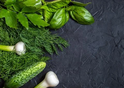 Image with greens. Stock Photos