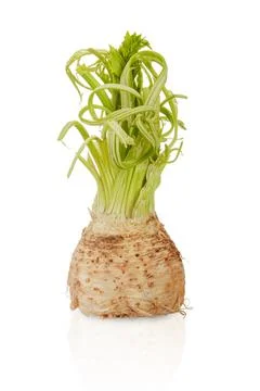 Image of growing celery on white background Stock Photos