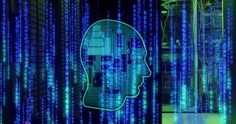 Image of head, binary coding and data processing over computer servers Stock Illustration