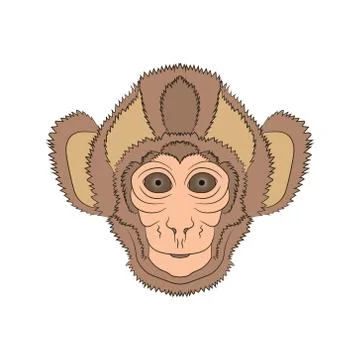 Image of the head is monkey. Vector graphics. Hand drawing Stock Illustration