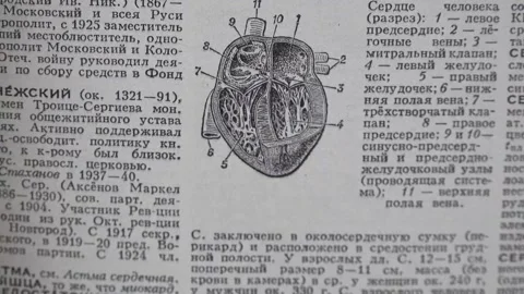 Image of a heart in a book Stock Footage 141373477