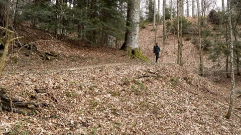 Image of hipster man hiking trail in the mountain, Zagreb, Croatia. 스톡 동영상 104520599