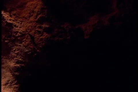 Image of horses head carved into cave wall by early humans. Stock Footage 86752846