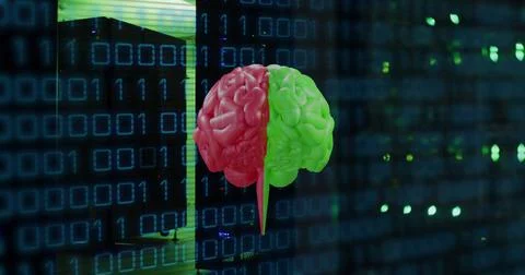 Image of human brain and binary coding data processing over computer servers Stock Illustration