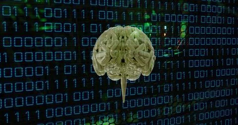 Image of human brain and binary coding data processing over computer servers Stock Illustration