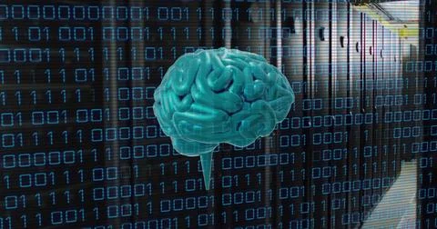 Image of human brain and binary coding data processing over computer servers 写真素材