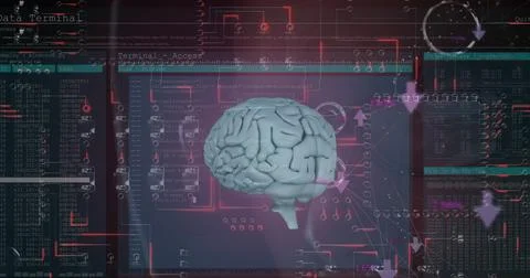 Image of human brain and data processing over black background Stock Illustration