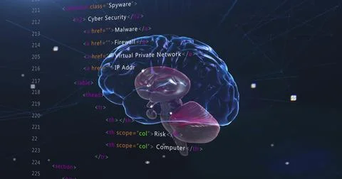 Image of human brain and data processing Stock Photos