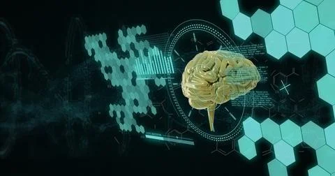 Image of human brain and digital data processing over black background Stock Illustration