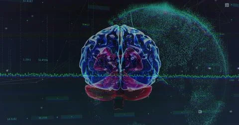 Image of human brain and digital data processing over globe Foto stock