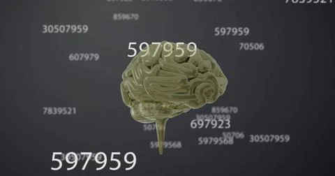 Image of human brain and numbers data processing on grey background Foto stock