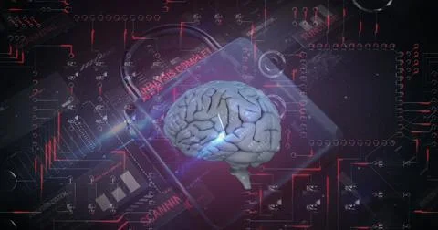Image of human brain, data processing, online security padlock and circuit board Illustrazione stock