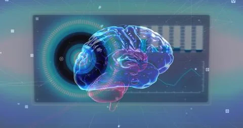 Image of human brain with digital interface data processing Fotos de archivo