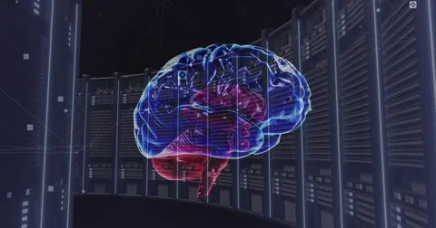 Image of human brain over computer servers 스톡 사진
