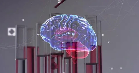 Image of human brain over laboratory dishes on grey background Stock Photos