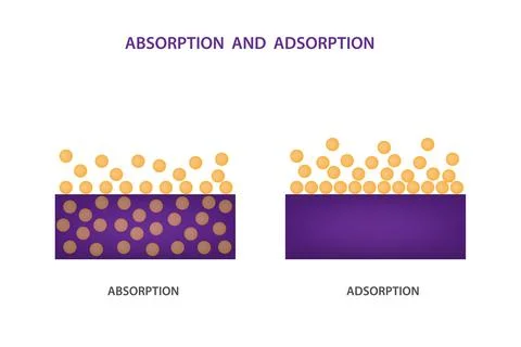 Image illustrates the difference between adsorption and absorption on a molecula Stock Illustration