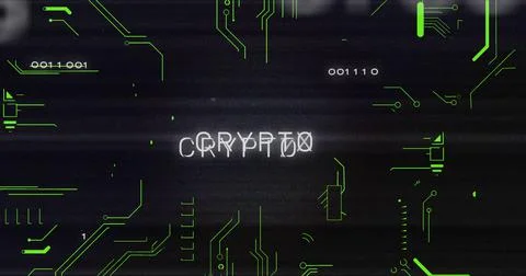 Image of interference over crypto text, data processing and computer circuit Illustrazione stock